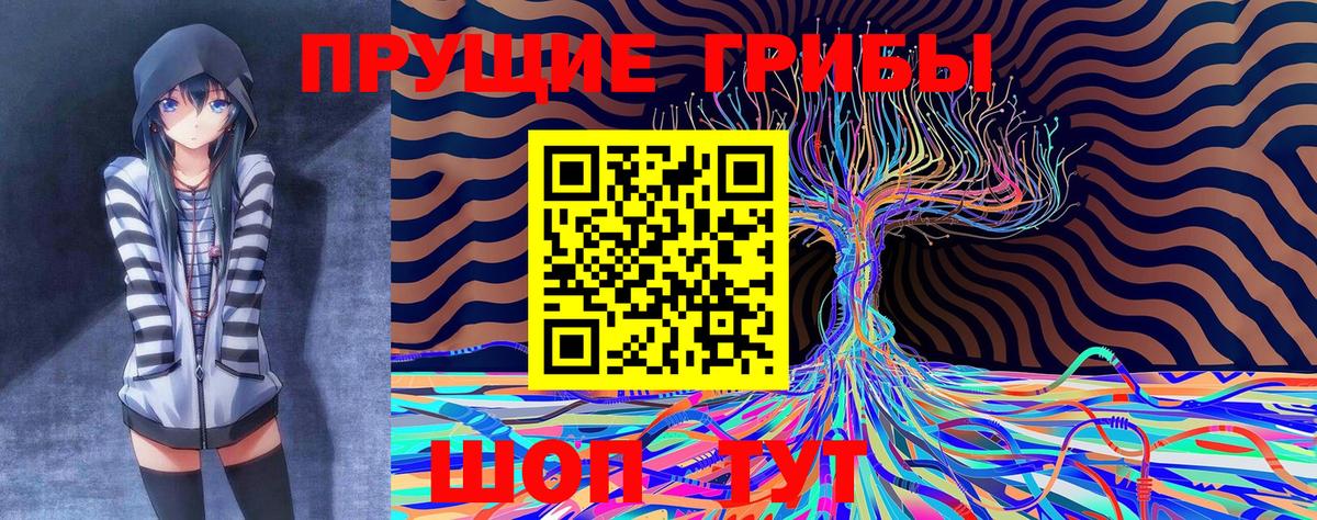 где продают наркотики  Псилоцибиновые грибы мицелий  Вход с VPN  Новочебоксарск 