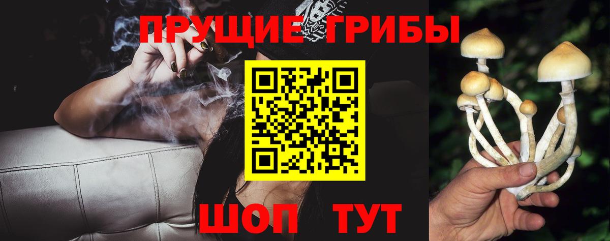 Галлюциногенные грибы прущие грибы Новочебоксарск